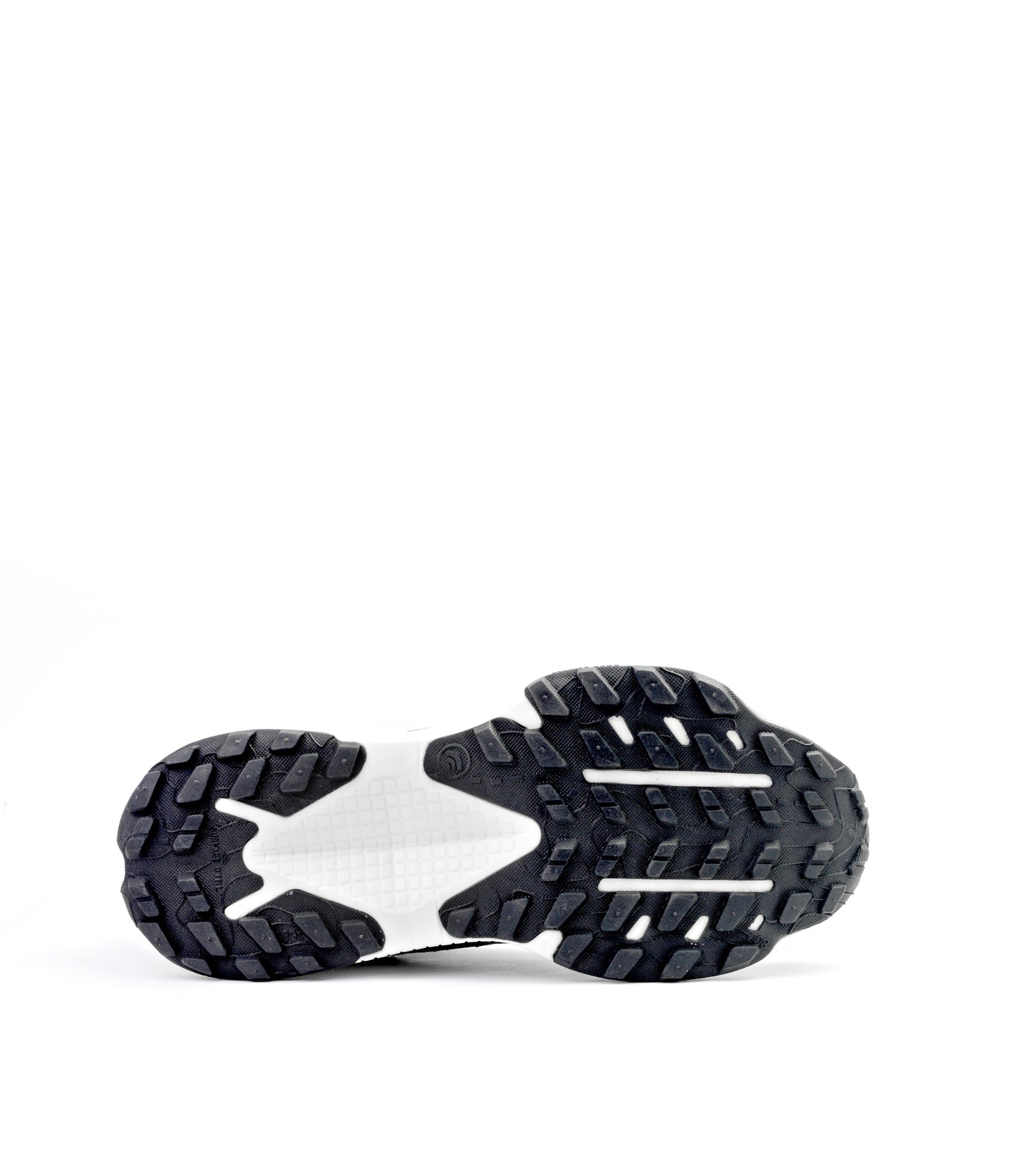 North Face Altamesa 500 Sport Shoes Training (men)