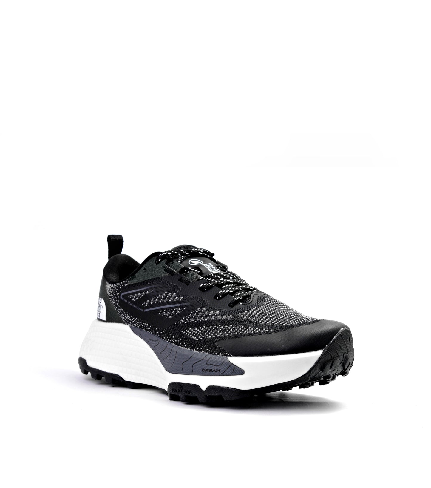 North Face Altamesa 500 Sport Shoes Training (men)