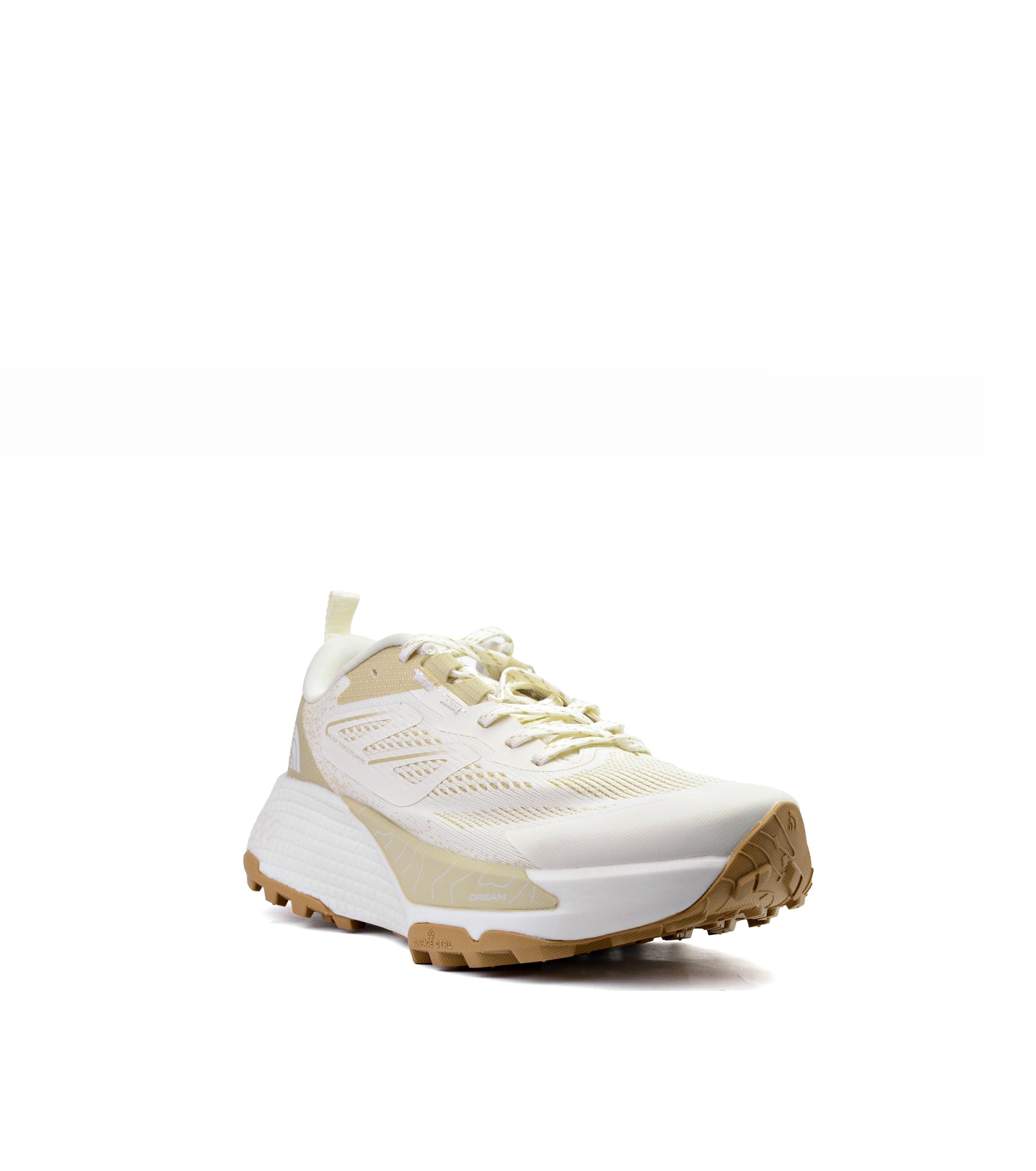 North Face Altamesa 500 Sport Shoes Training (men)