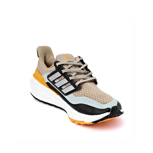 ULTRABOOST LIGHT C.RDY (men)