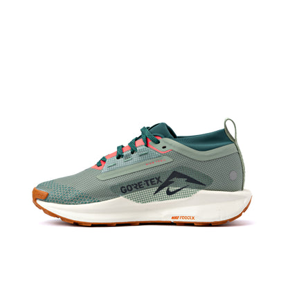 Pegasus Trail 5 (men)